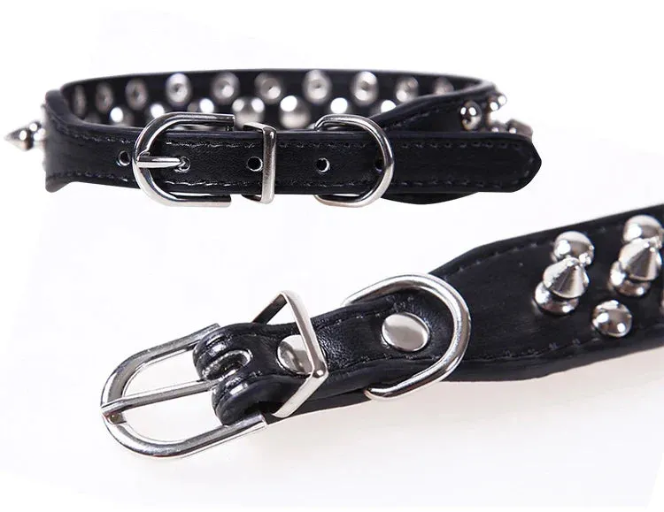 Stylish Leather Dog Collar with Punk Rivets