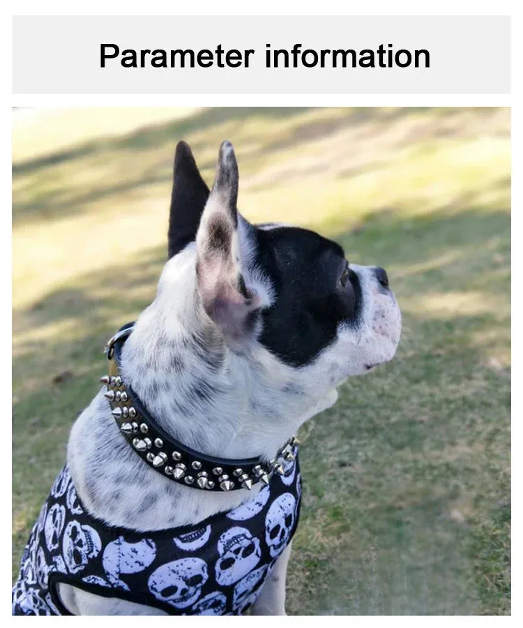 Stylish Leather Dog Collar with Punk Rivets