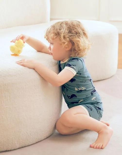 Whale Tour Short PJs